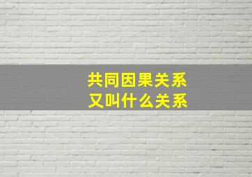 共同因果关系 又叫什么关系